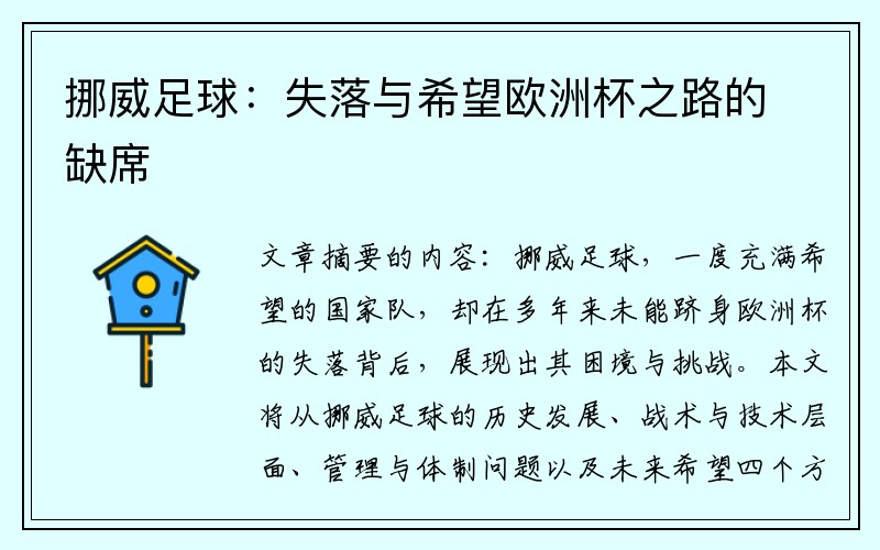 挪威足球：失落与希望欧洲杯之路的缺席